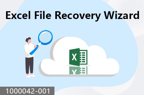 Excel file recovery wizard                            1000042-001